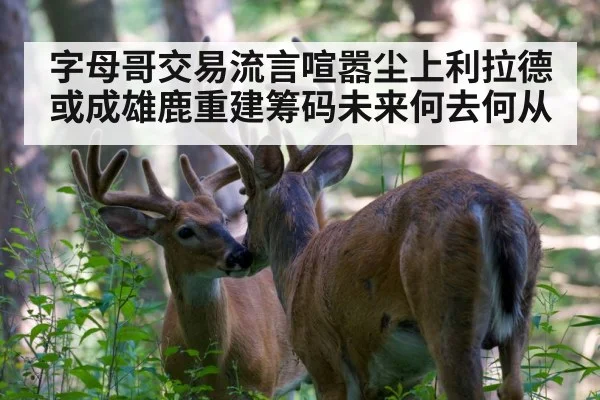 Milwaukee Bucks