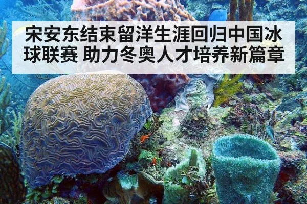 宋安东结束留洋生涯回归中国冰球联赛 助力冬奥人才培养新篇章